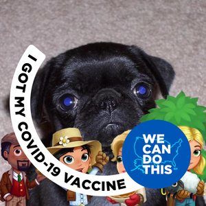 Meet your Posher, Sheila